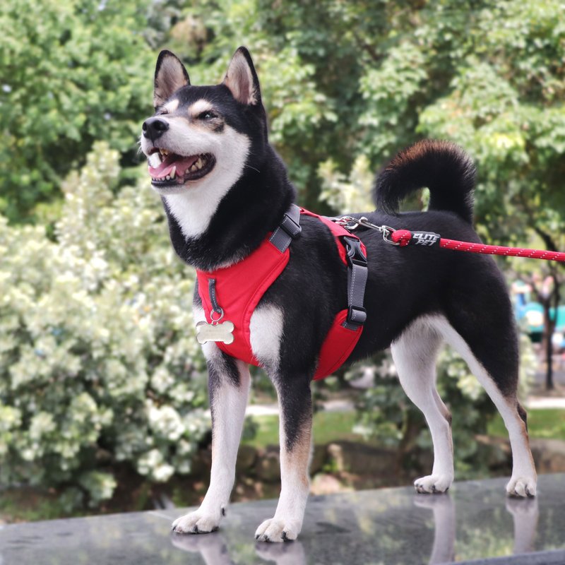 URBAN HARNESS Pet Wrap-Around Harness RD - ปลอกคอ - ไนลอน สีแดง