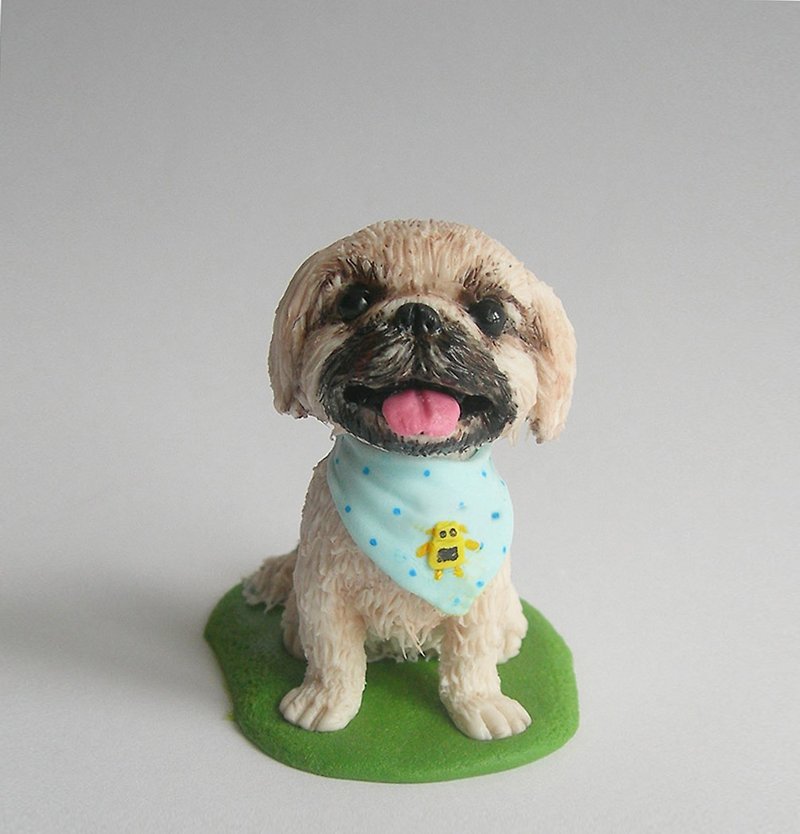 Mixed Shih Tzu - Other - Clay 