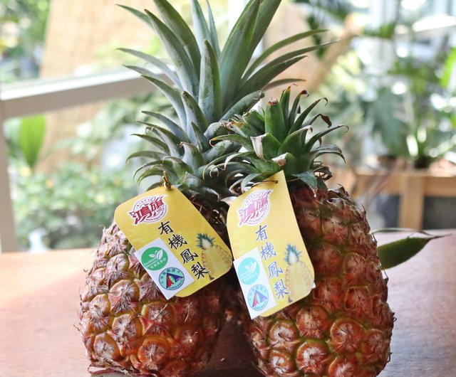 専用ギフトボックス パイナップルとバニラのフレーバーワインdiy素材パッケージ ティーチングビデオ パーフェクト10点セット ショップ Natureworld 料理 グルメ Pinkoi