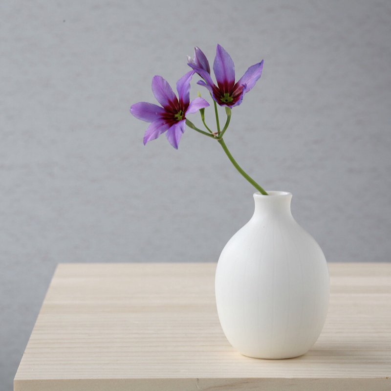 白い磁器の丸い一輪挿し - 花瓶/花器 - 瓷 白色