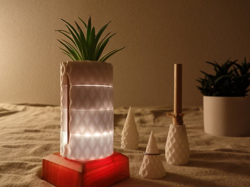 Fake Plants and Box, Aroma Diffuser, Ring Stand, LED Base, Geometric Diamond