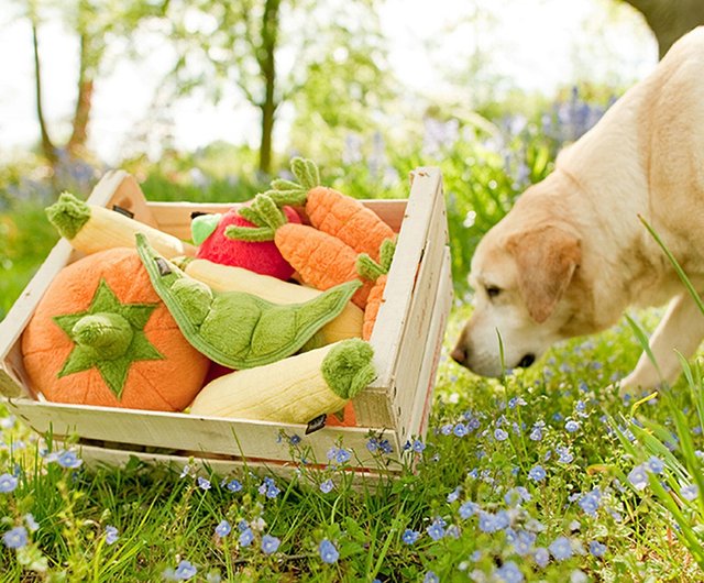 P.L.A.Y Garden Fresh Plush Carrot Dog Toy