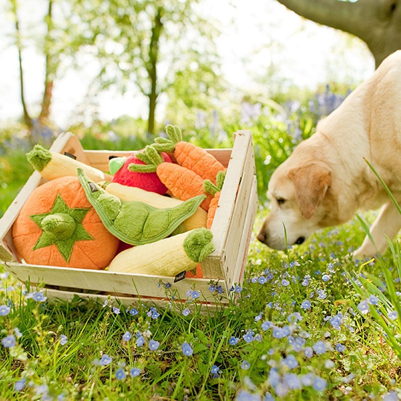 Garden Fresh Collection(Dog toys) - ของเล่นสัตว์ - วัสดุอีโค 