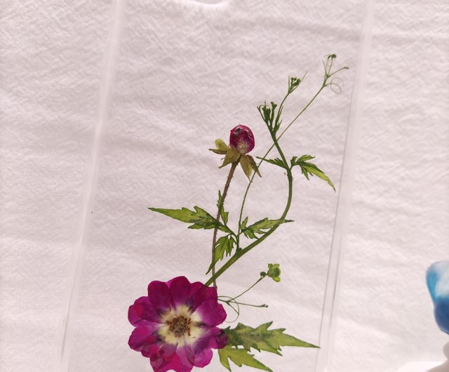 玫瑰 風船葛押花滴膠手機殼植物美學客制化手機殼 設計館around Arts 手機殼 手機套 Pinkoi