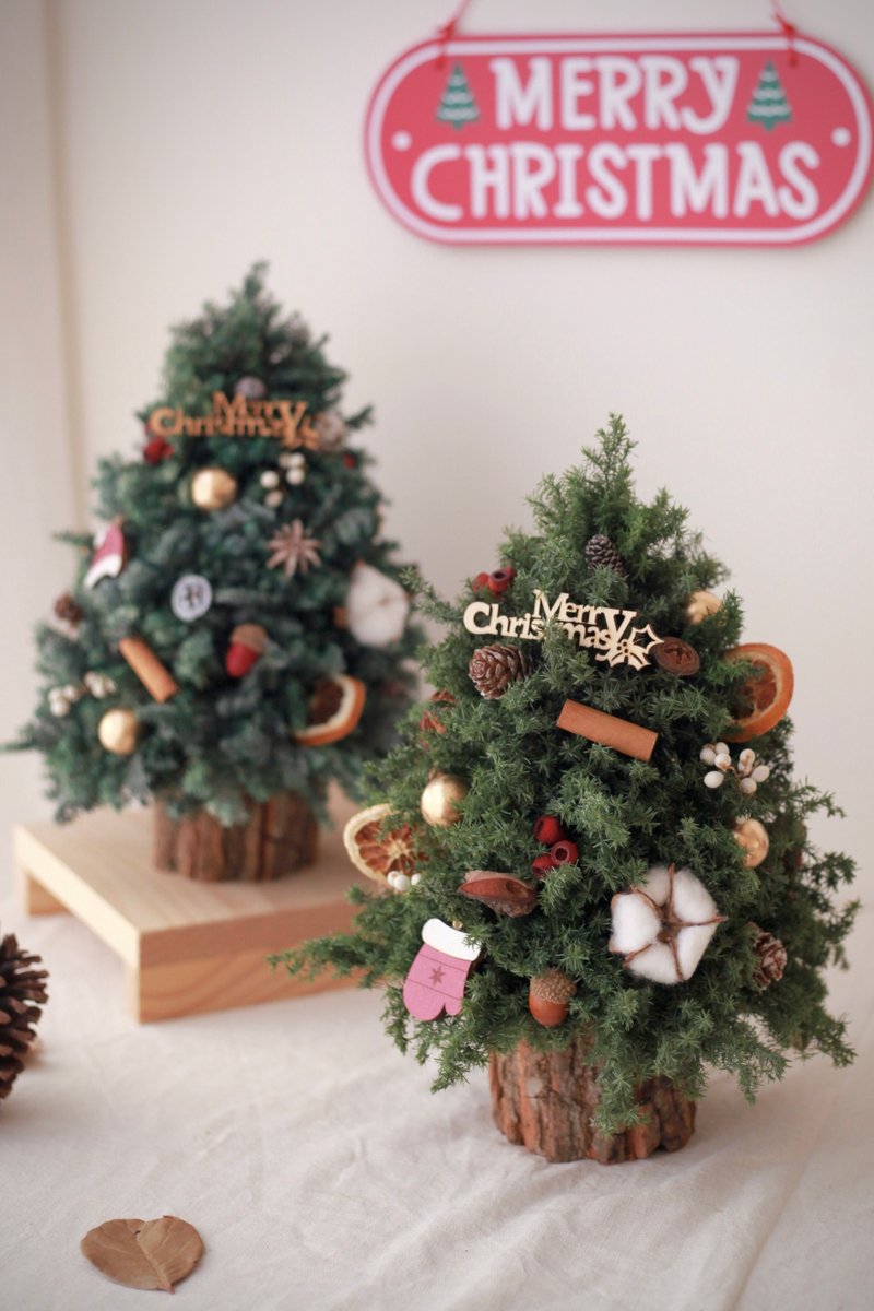 體驗】冬日森林。永生雪松乾燥聖誕樹課程 - 植栽/花藝 - 植物．花 