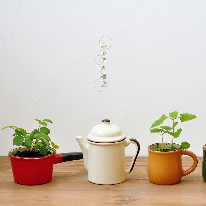 咖啡時光 植栽福袋組 (三款各一隨機配色) - 植物/盆栽/盆景 - 陶 多色