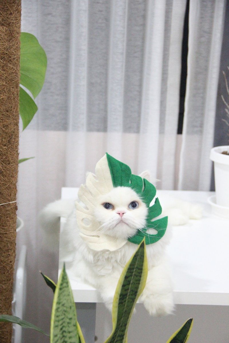 Monstera Half Moon | Pet Costumes - Collars & Leashes - Other Materials 