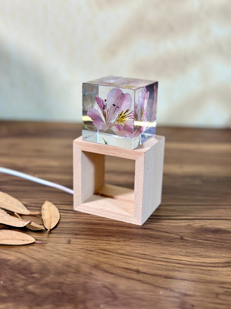 客製六出花水仙百合真花樹脂立方夜燈 - 擺飾/家飾品 - 樹脂 粉紅色