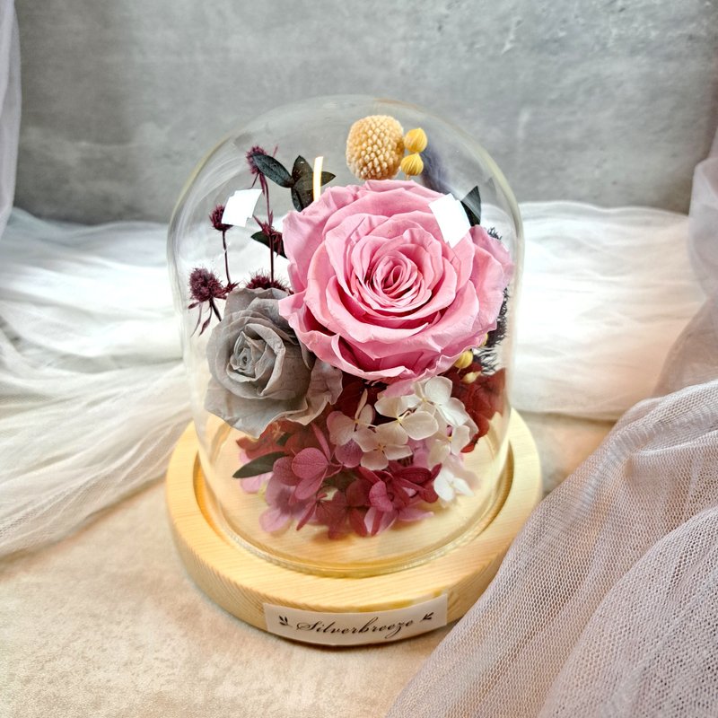 Preserved Flower Glass Cover Birthday Gift Mother's Day Preserved Rose Valentine's Day Gift PF050 - ช่อดอกไม้แห้ง - พืช/ดอกไม้ สึชมพู