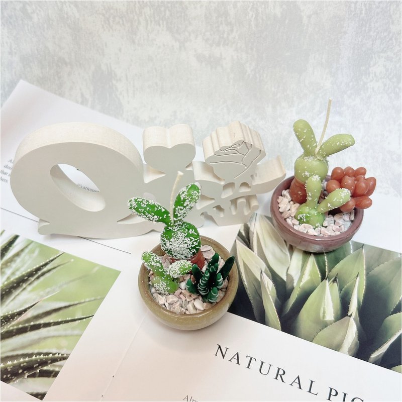 Candle Kneading-Succulent Potted Plants - Candles/Fragrances - Wax 