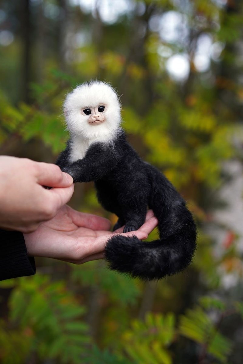 Capuchin monkey Friend travel jungle accessories 誕生花 花燈 - Stuffed Dolls & Figurines - Eco-Friendly Materials Multicolor