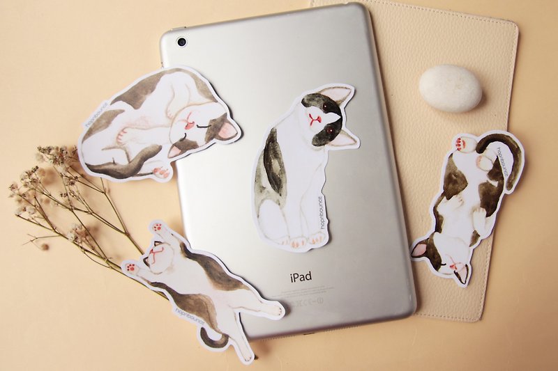 Cat Kitten Luggage Stickers/ Vinyl Sticker/ Planner Window Laptop Cell Phones Bo - สติกเกอร์ - วัสดุอื่นๆ 