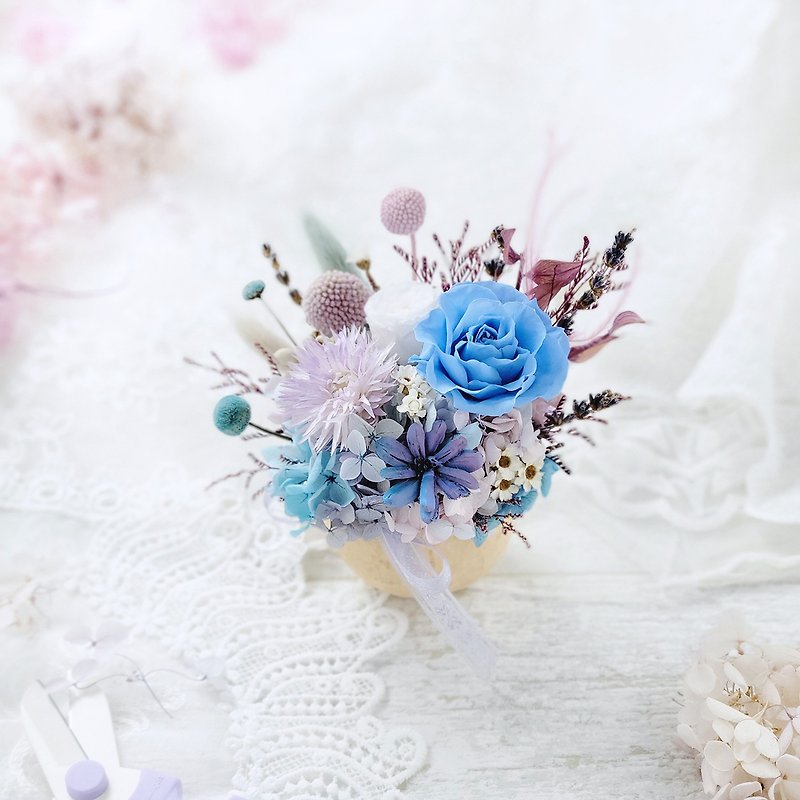 不凋永生玫瑰小盆花-浪漫藍紫色系 生日禮物 - 乾燥花/永生花 - 植物．花 藍色