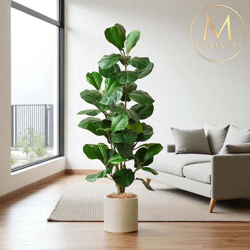 居家綠植1.5公尺琴葉榕室內大型仿真植栽(贈送花盆) - 擺飾/家飾品 - 塑膠 綠色