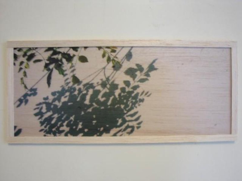 shadow of plants - ウォールデコ・壁紙 - 木製 グリーン