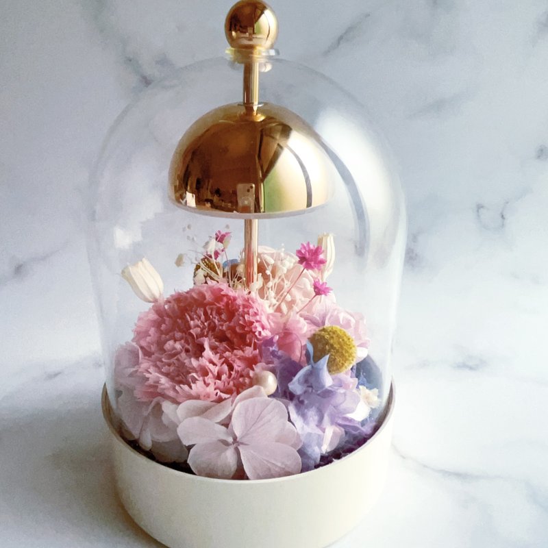 母親節康乃馨永生花禮 永生花玻璃盅 永生玫瑰 - 乾燥花/永生花 - 植物．花 粉紅色