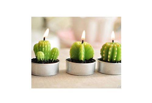 Shaped Cactus Candle 