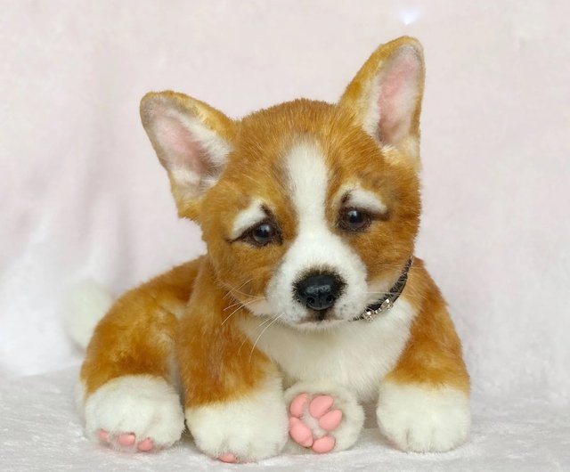 Toy 2024 corgi puppies