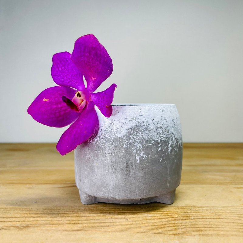 白口小圓雪花款 水泥盆 - 花瓶/花器 - 水泥 灰色