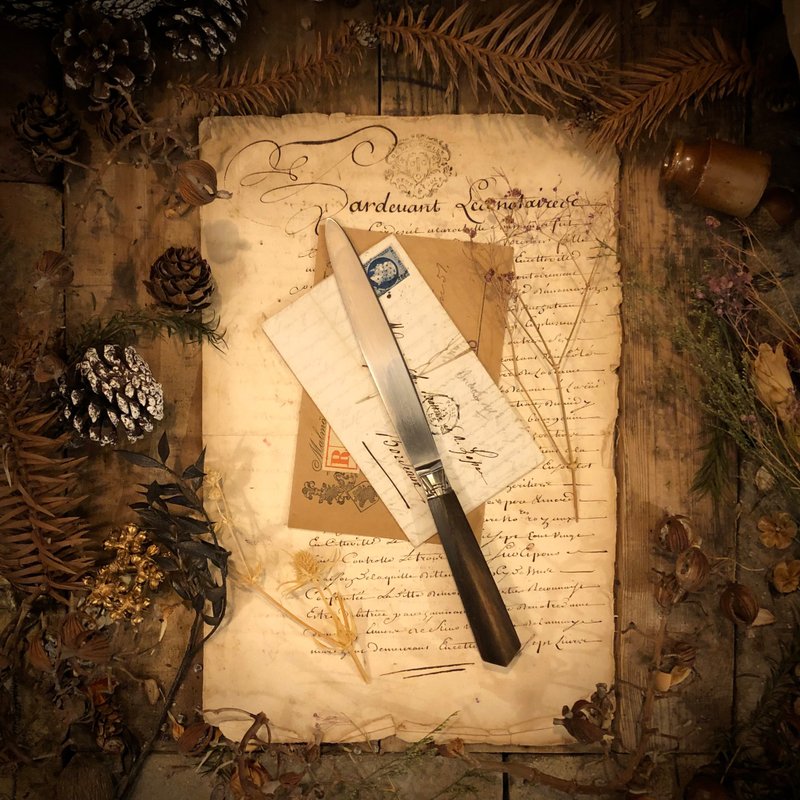 France AUX 2 LIONS Natural Animal Horn Handle Forged Steel Knife / Letter Opener - กรรไกร - วัสดุอื่นๆ สีทอง