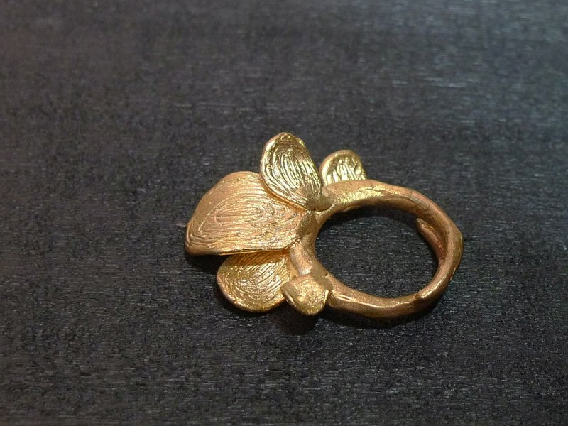 Lobe _ Bronze ring - General Rings - Other Metals Gold