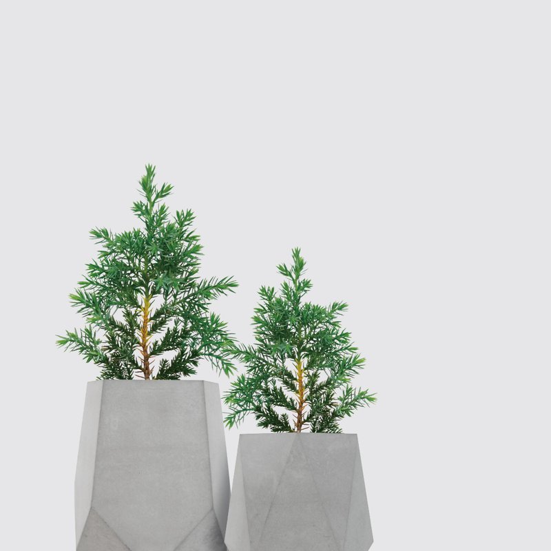 Cement Series│Christmas Cypress-Seasonally Limited Hydroponic Potted Ceramic Pots - Plants - Plants & Flowers Gray