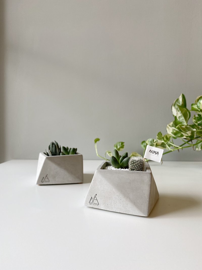 /Shared space/ Cement potted plants with succulents - Plants - Cement Gray