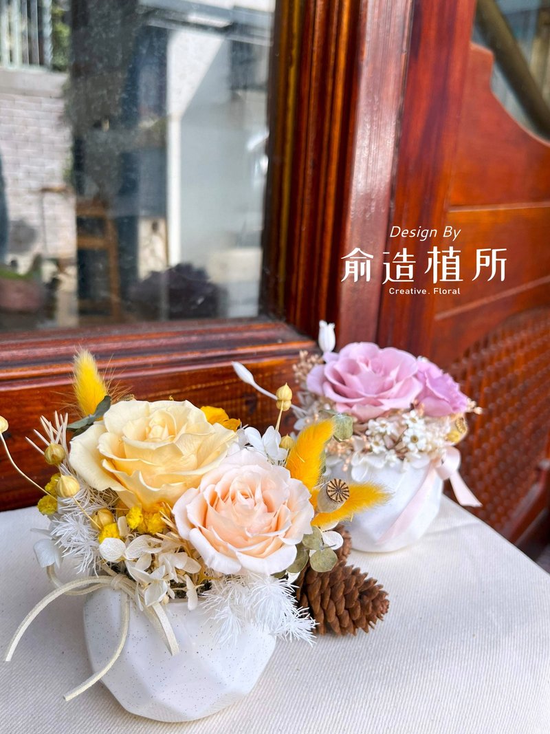 永生小盆花 居家佈置小物 - 乾燥花/永生花 - 其他材質 多色