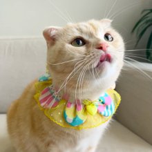 猫用帽子帽子猫用かぎ針編み帽子カエル猫帽子かわいい猫