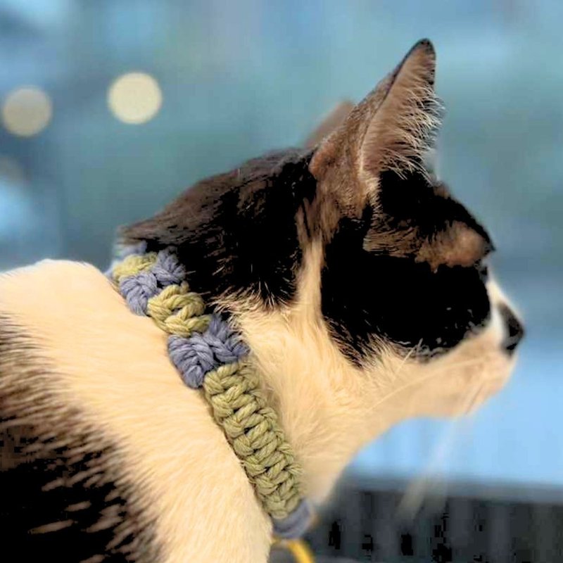 Handmade Macrame Pet Collar (Cat/Dog) - Collars & Leashes - Other Materials Multicolor