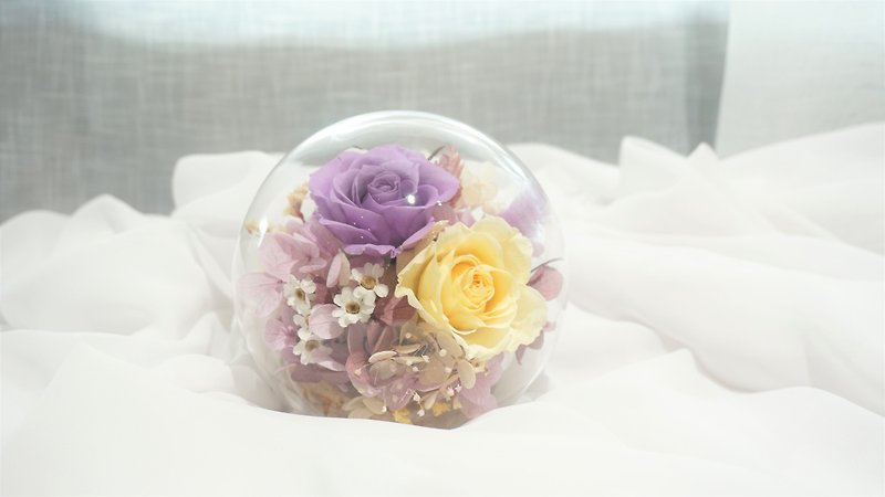 Wisteria Story Preserved Flower Glass Cup Exploration Room Gift Birthday Gift