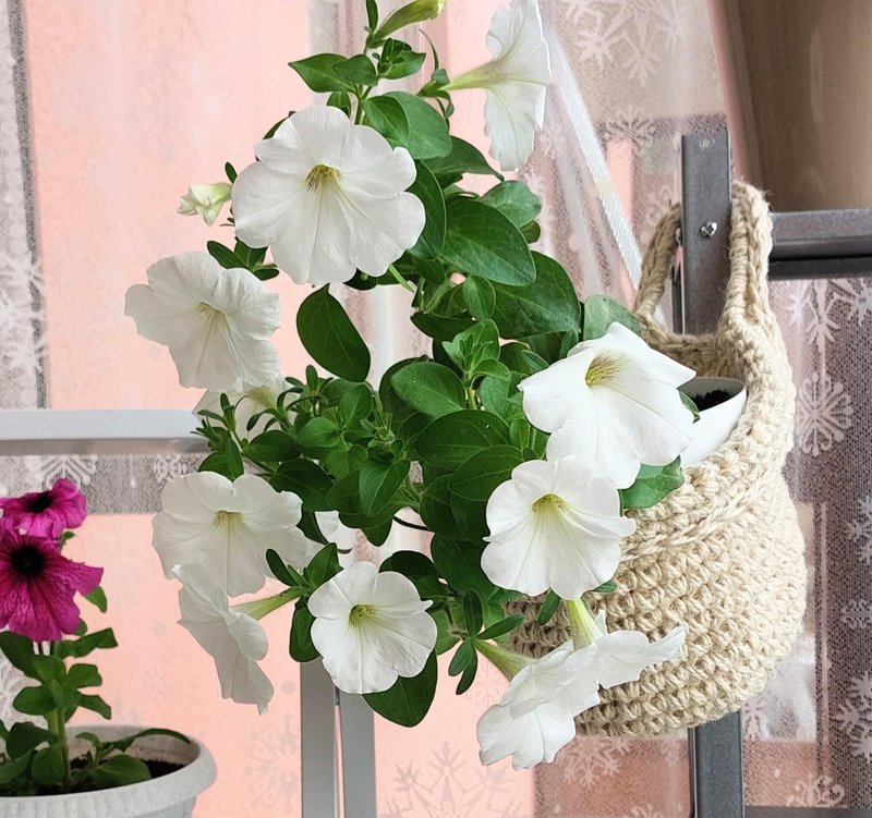 花的植物衣架墙花园装饰理念DIY模式PDF和视频 - 線上教學/教學影片 - 其他材質 