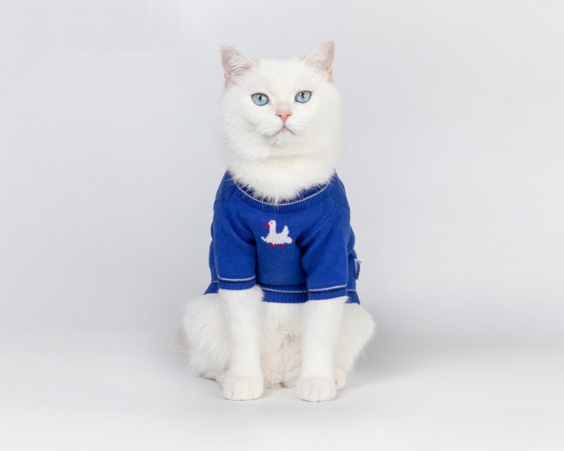 狗衣服喵咪毛衣寵物大白鵝毛衣 - 寵物衣服 - 其他材質 藍色