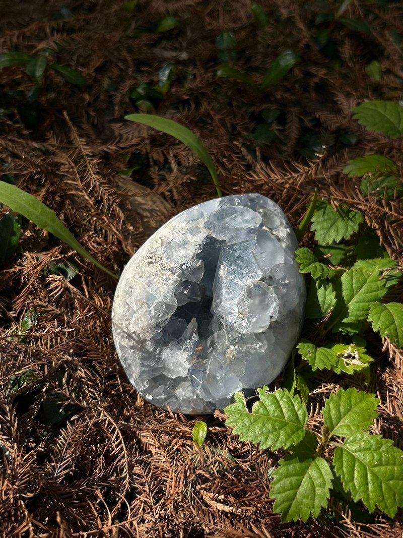 華光-藏晶閣 | 天青石Celestite/高頻療癒石 | 對應喉輪 眉心輪 - 擺飾/家飾品 - 水晶 