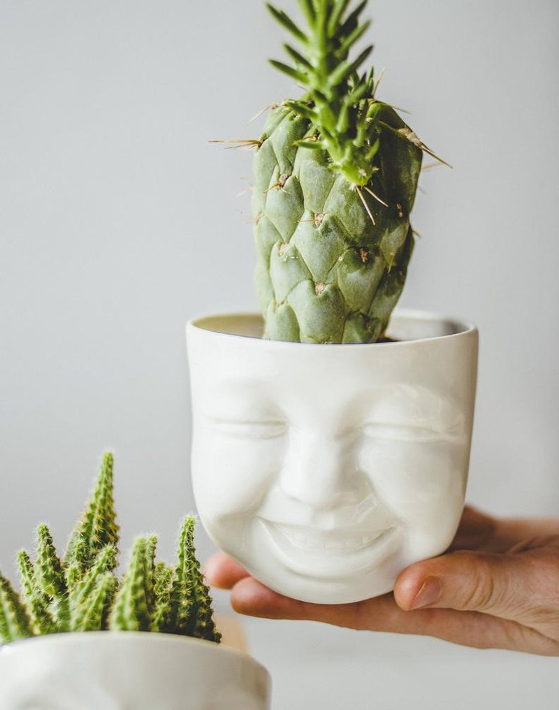 Laughing planter cute expression ceramic utensils - Pottery & Ceramics - Porcelain White