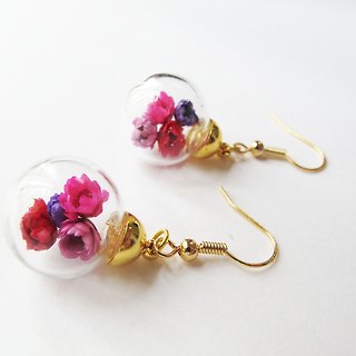 Rosy Garden Dried Daisies  inside glass ball earrings