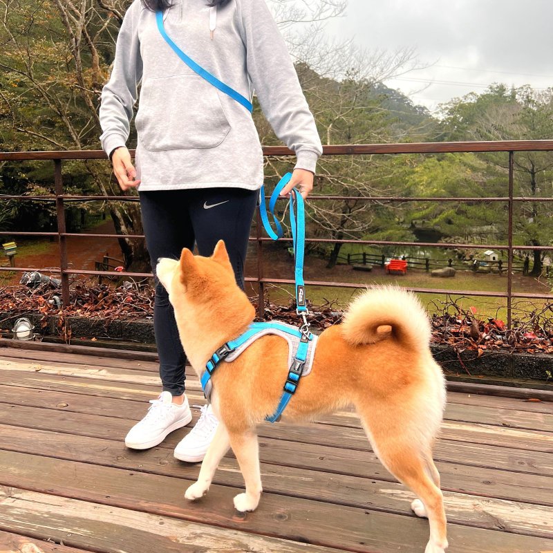 Woofy Woofy Hand Free Leash Sky Blue  Runner Leash 210cm - ปลอกคอ - เส้นใยสังเคราะห์ สีน้ำเงิน