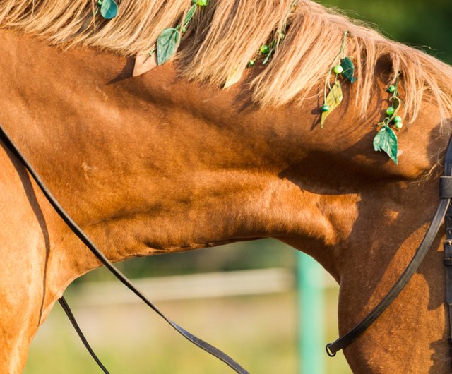 緑の馬のたてがみエクステンションジュエリー手作りのポニーたてがみと