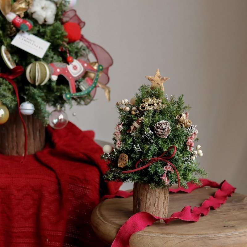 【遇見恆久】聖誕微光日本進口永生不凋雪松聖誕樹 - 乾燥花/永生花 - 植物．花 