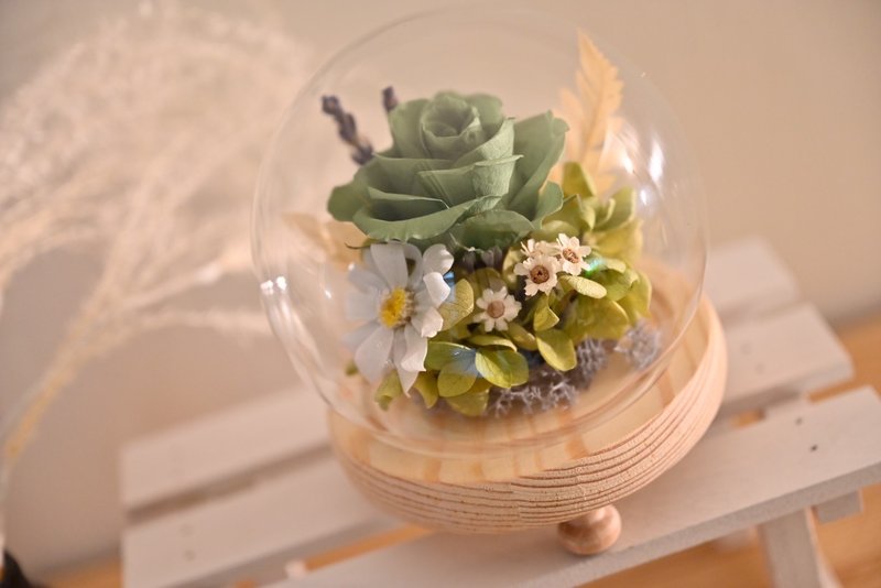 永生玫瑰玻璃盅 - 乾燥花/永生花 - 玻璃 綠色