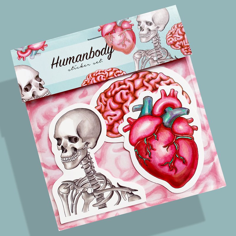 Human Body - Sticker set - สติกเกอร์ - กระดาษ สึชมพู