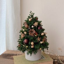 咖啡金橡果聖誕小樹 日本永生雪松製作 顏色可維持