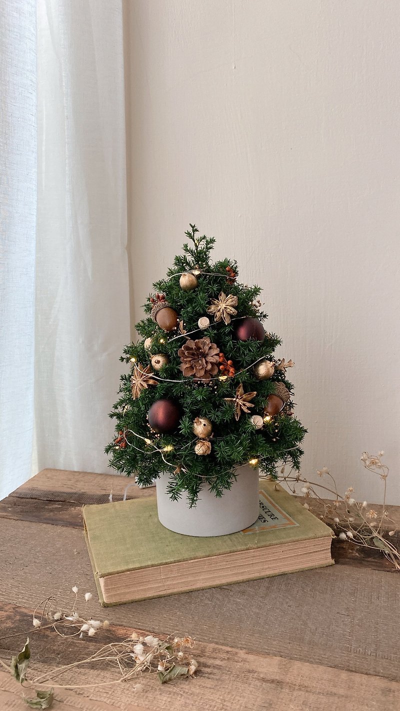 咖啡金橡果聖誕小樹 日本永生雪松製作 顏色可維持 - 植栽/盆栽 - 植物．花 綠色