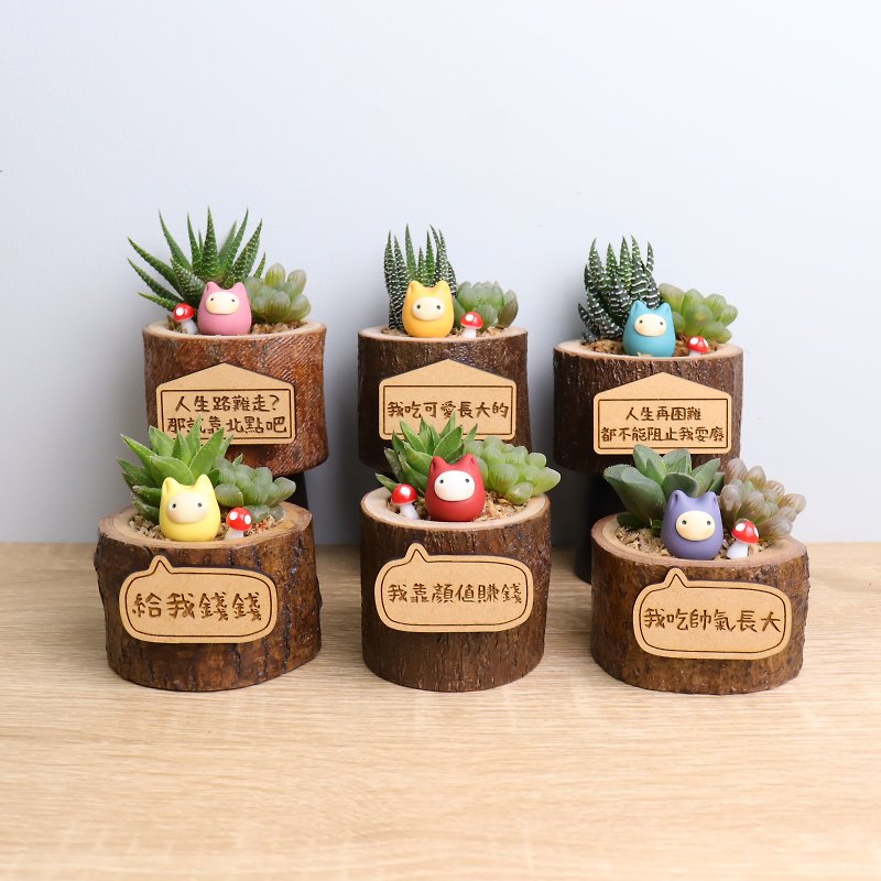 Little Rizai Succulent Potted Plant Lettering Customized Wedding Birthday Opening Gift Children Graduation - Plants - Wood Multicolor