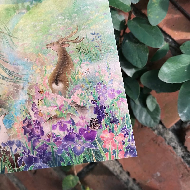 [Secret Garden / card postcard] fine illustrator / XL models / deer / iris / Stone tiger / Willow - Cards & Postcards - Paper Pink