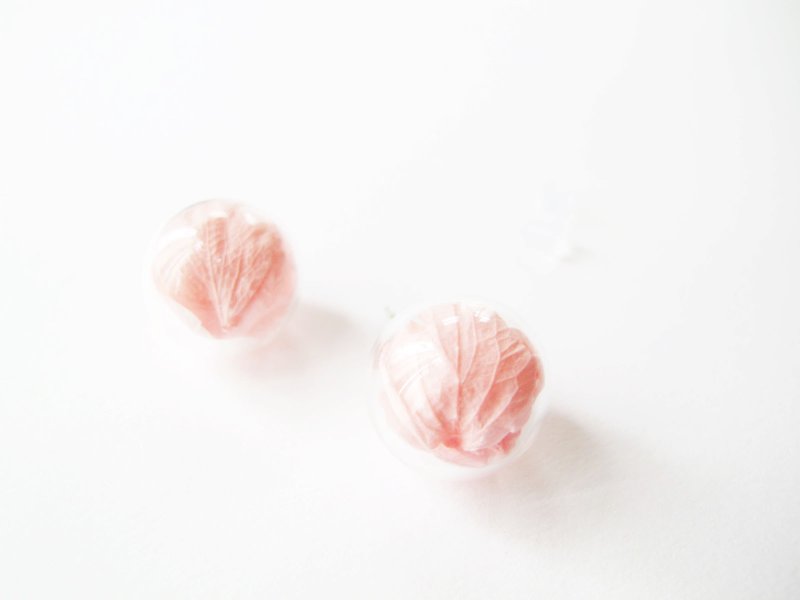 * Rosy Garden * Dried pink Hydrangea petals glass ball earrings - Earrings & Clip-ons - Glass Pink