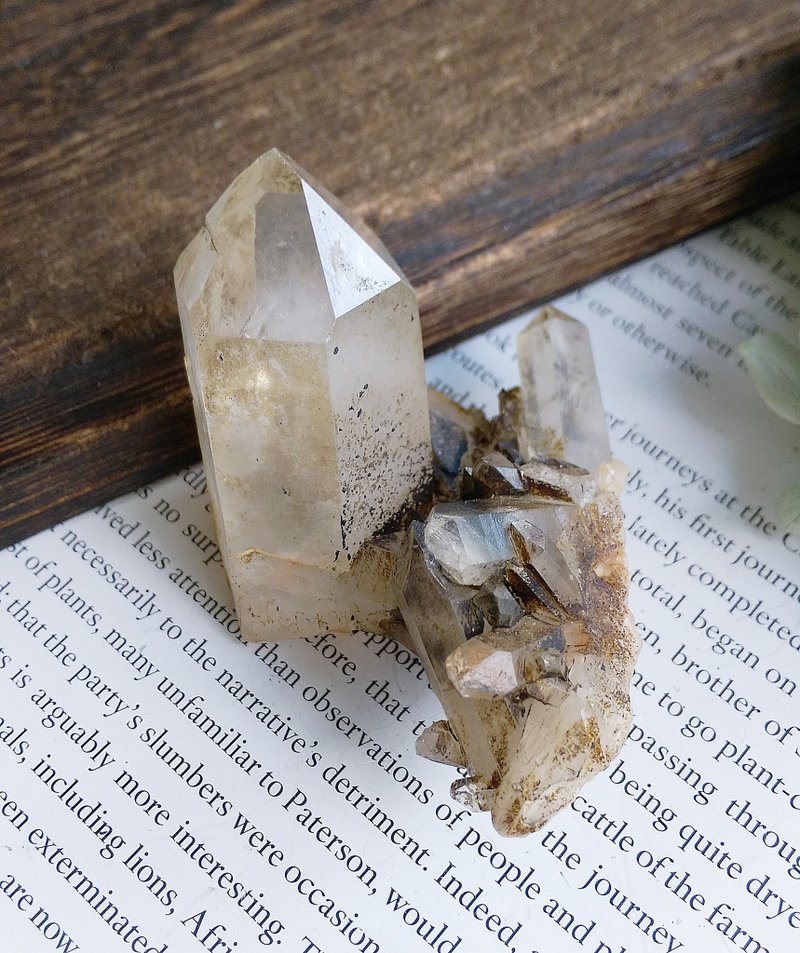 Smoky Quartz 四川產地 茶晶 水晶晶簇 天然礦石 原礦 - 擺飾/家飾品 - 其他材質 
