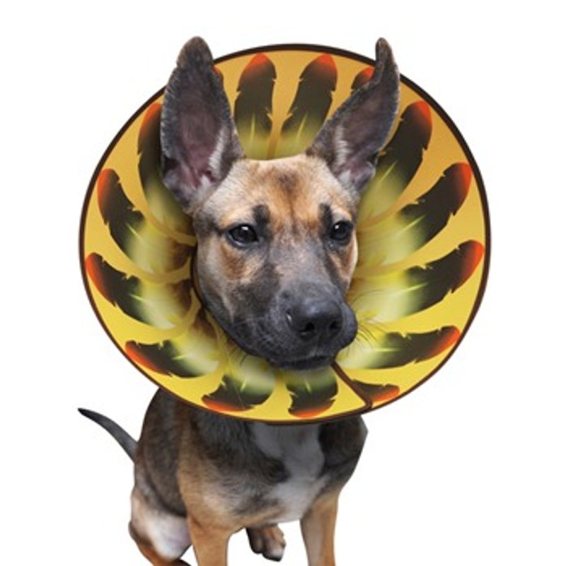 (ML) Brave Indian Chief in Elizabethan Collar - Collars & Leashes - Plastic 