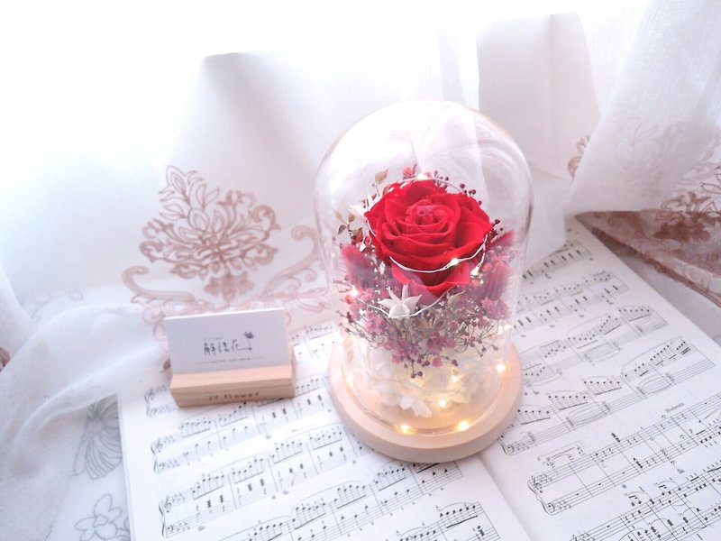 [Flower Yang Yan] not withered red rose night light / Valentine's Day gift / confession - โคมไฟ - พืช/ดอกไม้ สีแดง