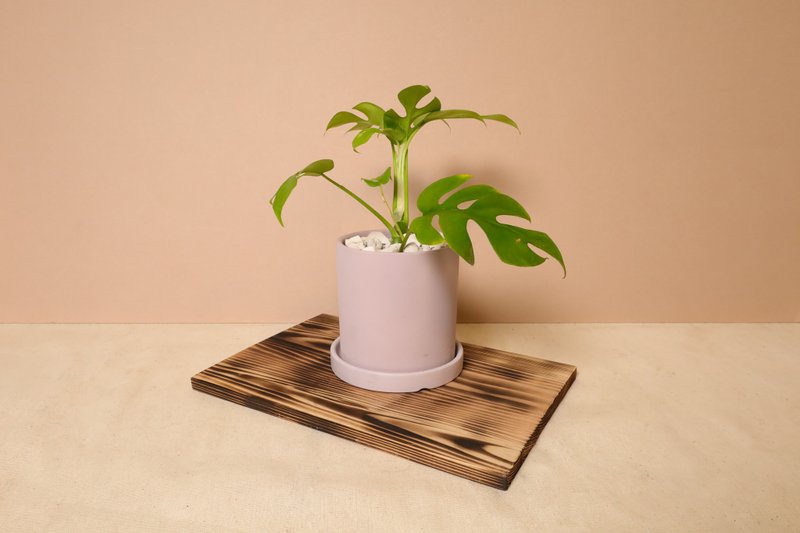 Ji turtle back/pink purple light color Cement basin (with water tray) - Plants - Plants & Flowers 